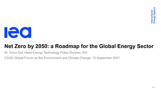 Page 1
Net Zero by 2050: a Roadmap for the Global Energy Sector
Dr. Timur Gül, Head Energy Technology Policy Division, IEA
CCXG Global Forum on the Environment and Climate Change, 15 September 2021
 