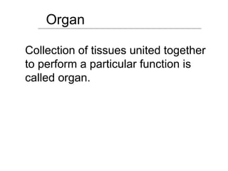 Organ
Collection of tissues united together
to perform a particular function is
called organ.
 