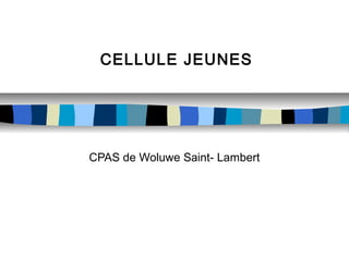 CELLULE JEUNES

CPAS de Woluwe Saint- Lambert

 
