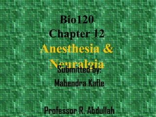 Bio120Chapter 12Anesthesia & Neuralgia Submitted by: Mahendra Kafle Professor R. Abdullah 