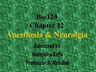 Bio120Chapter 12Anesthesia & Neuralgia Submitted by: Mahendra Kafle Professor R. Abdullah 