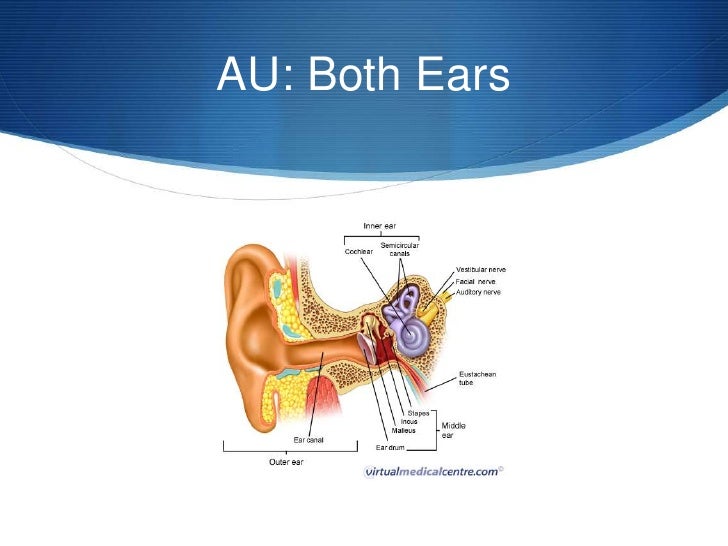 Abbreviations of the Ear and Eye