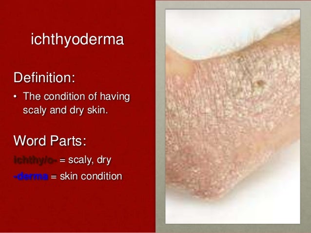 Presentation chapter 3