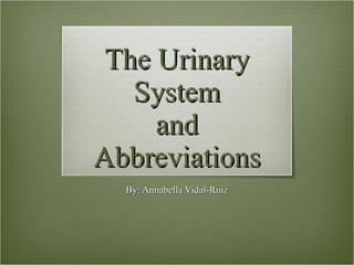The Urinary System and Abbreviations By: Annabella Vidal-Ruiz 