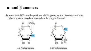 Biochemistry of Carbohydrates | PPTX