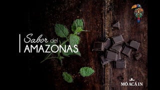 Mo Aca In Amazonia Chocolates