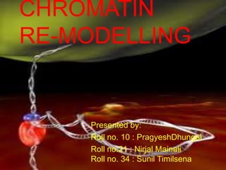 CHROMATIN
RE-MODELLING


    Presented by:
    Roll no. 10 : PragyeshDhungel
    Roll no.21 : Nirjal Mainali
    Roll no. 34 : Sunil Timilsena
 