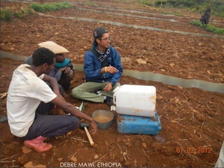 Runoff generation and sediment transport: Do saturated zones play a role in tropical watersheds?