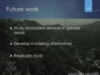 Runoff generation and sediment transport: Do saturated zones play a role in tropical watersheds?