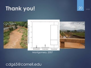 Runoff generation and sediment transport: Do saturated zones play a role in tropical watersheds?