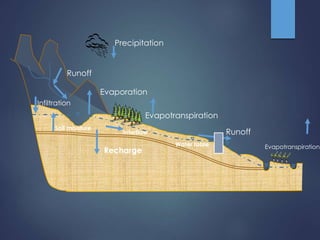 Runoff generation and sediment transport: Do saturated zones play a role in tropical watersheds?