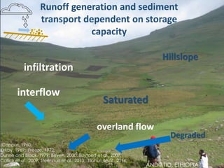 Runoff generation and sediment transport: Do saturated zones play a role in tropical watersheds?
