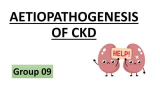 AETIOPATHOGENESIS
OF CKD
Group 09
 
