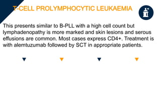 T-CELL PROLYMPHOCYTIC LEUKAEMIA
This presents similar to B-PLL with a high cell count but
lymphadenopathy is more marked and skin lesions and serous
effusions are common. Most cases express CD4+. Treatment is
with alemtuzumab followed by SCT in appropriate patients.
 