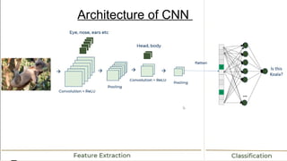 Machine Learning Cnn Image Presentation machine learning of topics cnn cnn.pptx