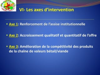 VI- Les axes d’intervention
 Axe 1: Renforcement de l’assise institutionnelle
 Axe 2: Accroissement qualitatif et quantitatif de l’offre
 Axe 3: Amélioration de la compétitivité des produits
de la chaîne de valeurs bétail/viande
 