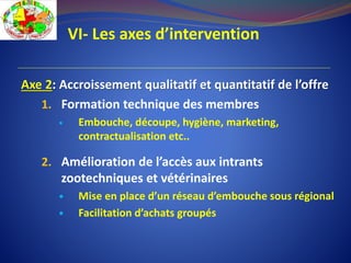 VI- Les axes d’intervention
Axe 2: Accroissement qualitatif et quantitatif de l’offre
1. Formation technique des membres
 Embouche, découpe, hygiène, marketing,
contractualisation etc..
2. Amélioration de l’accès aux intrants
zootechniques et vétérinaires
 Mise en place d’un réseau d’embouche sous régional
 Facilitation d’achats groupés
 