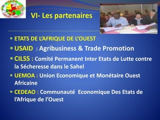 VI- Les partenaires
 ETATS DE L’AFRIQUE DE L’OUEST
 USAID : Agribusiness & Trade Promotion
 CILSS : Comité Permanent Inter Etats de Lutte contre
la Sécheresse dans le Sahel
 UEMOA : Union Economique et Monétaire Ouest
Africaine
 CEDEAO : Communauté Economique Des Etats de
l’Afrique de l’Ouest
 