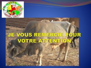 Présentation de la COFENABVI AO