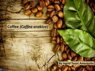 Coffee (Coffea arabica)
By Ingrid Tuyuc Amezquita
 