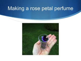 Making a rose petal perfume
 