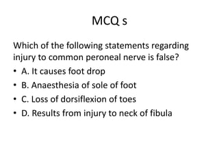 MCQ s
Which of the following statements regarding
injury to common peroneal nerve is false?
• A. It causes foot drop
• B. Anaesthesia of sole of foot
• C. Loss of dorsiflexion of toes
• D. Results from injury to neck of fibula
 