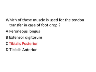 Which of these muscle is used for the tendon
transfer in case of foot drop ?
A Peroneous longus
B Extensor digitorum
C Tibialis Posterior
D Tibialis Anterior
 