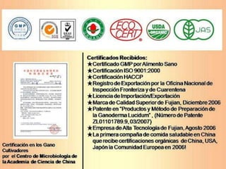 La diferencia de Organo Gold


 Organo Gold está asociado con uno de los mayores productores
 de Ganoderma en el mundo. Reconocido mundialmente por su
método patentado de preparación en el cultivo de la marca líder de
         Ganoderma 100% Orgánico y Certificado.




   Patente de productos Ganoderma Lúcidum y Método de Preparación
                     (Patente Numero ZL01101789.9)
 
