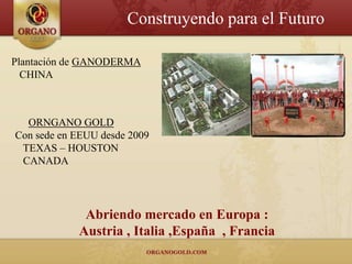 Construyendo para el Futuro

Plantación de GANODERMA
  CHINA



  ORNGANO GOLD
Con sede en EEUU desde 2009
 TEXAS – HOUSTON
 CANADA




             Abriendo mercado en Europa :
            Austria , Italia ,España , Francia
 