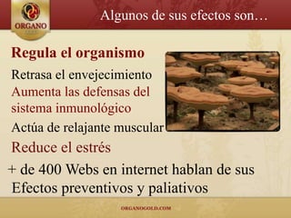 Algunos de sus efectos son…

Regula el organismo
Retrasa el envejecimiento
Aumenta las defensas del
sistema inmunológico
Actúa de relajante muscular
Reduce el estrés
+ de 400 Webs en internet hablan de sus
Efectos preventivos y paliativos
 