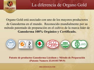 La diferencia de Organo Gold


 Organo Gold está asociado con uno de los mayores productores
 de Ganoderma en el mundo. Reconocido mundialmente por su
método patentado de preparación en el cultivo de la marca líder de
         Ganoderma 100% Orgánico y Certificado.




   Patente de productos Ganoderma Lúcidum y Método de Preparación
                     (Patente Numero ZL01101789.9)
 
