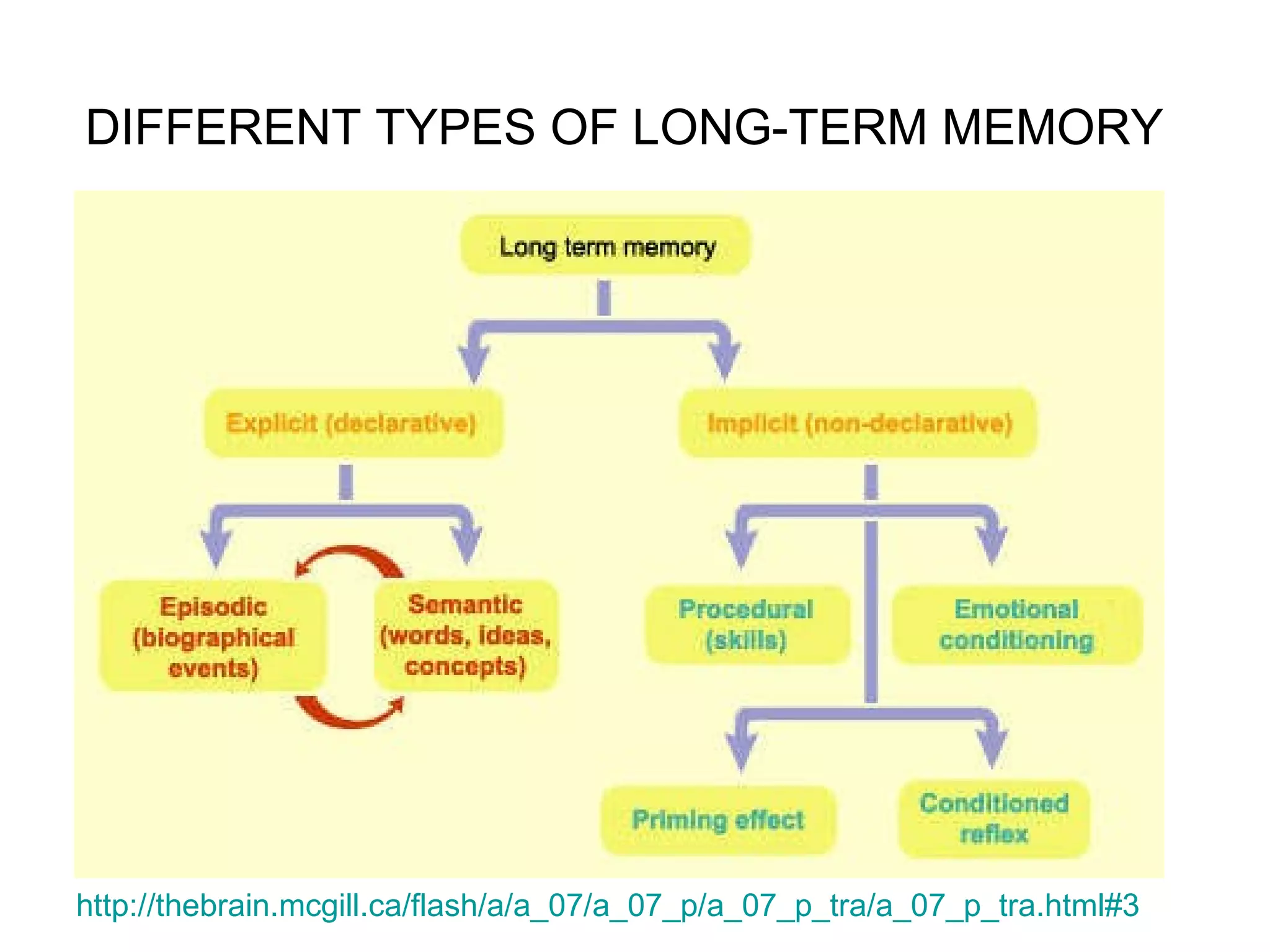 DIFFERENT TYPES OF LONG-TERM MEMORY   http://thebrain.mcgill.ca/flash/a/a_07/a_07_p/a_07_p_tra/a_07_p_tra.html#3   