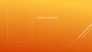 CONCLUSIONES

 
