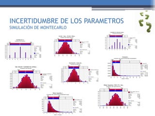 INCERTIDUMBRE DE LOS PARAMETROS
SIMULACIÓN DE MONTECARLO
 