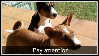 Pay attention
 http://www.flickr.com/photos/copperfeesh/147493122/
 