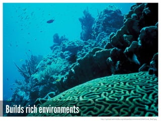 Builds rich environments
http://upload.wikimedia.org/wikipedia/commons/d/de/Coral_Reef.jpg
 