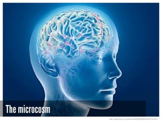 The microcosm
http://www.flickr.com/photos/44568283@N02/4097561067/
 