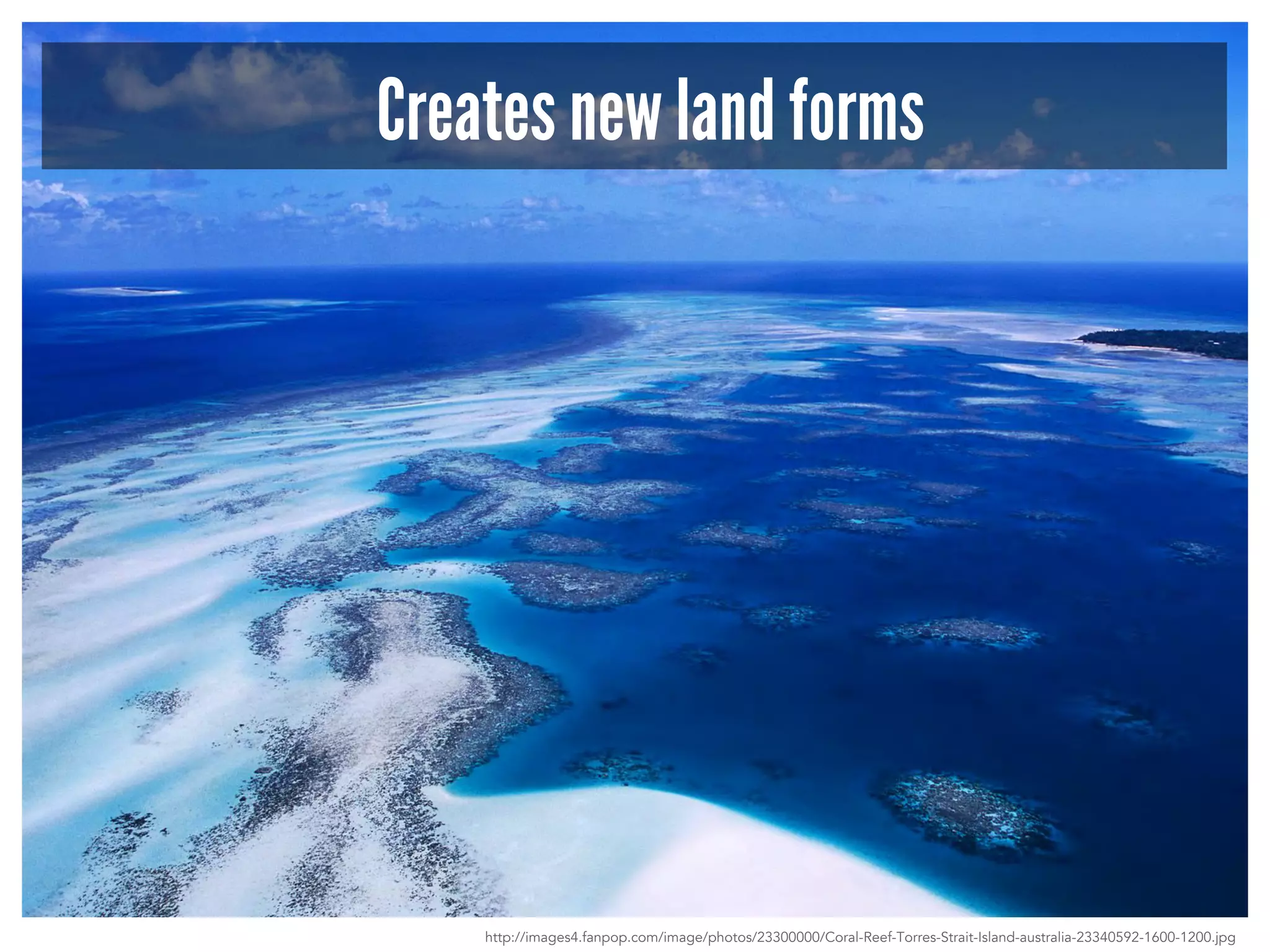 Creates new land forms 
http://images4.fanpop.com/image/photos/23300000/Coral-Reef-Torres-Strait-Island-australia-23340592-1600-1200.jpg 
 