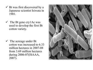 Change in pest scenario in the light of Bt cotton in India | PPT