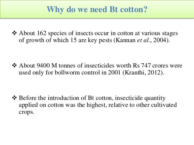 What is Bt cotton?