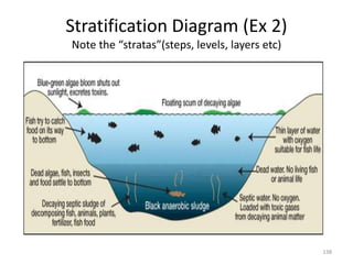 Stratification Diagram (Ex 2)
Note the “stratas”(steps, levels, layers etc)
138
 