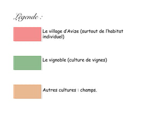 Légende :
Le village d’Avize (surtout de l’habitat
individuel)
Le vignoble (culture de vignes)
Autres cultures : champs.