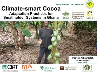 CSA recommendations for cocoa in Ghana | PDF