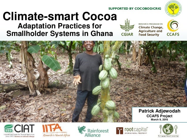 CSA recommendations for cocoa in Ghana