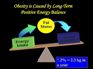 Obesity is Caused by Long-Term
Positive Energy Balance
Fat
Stores
↑ 2% = 2.3 kg in
a year
 