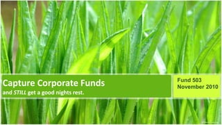 Capture Corporate Funds
and STILL get a good nights rest.
Fund 503
November 2010
 