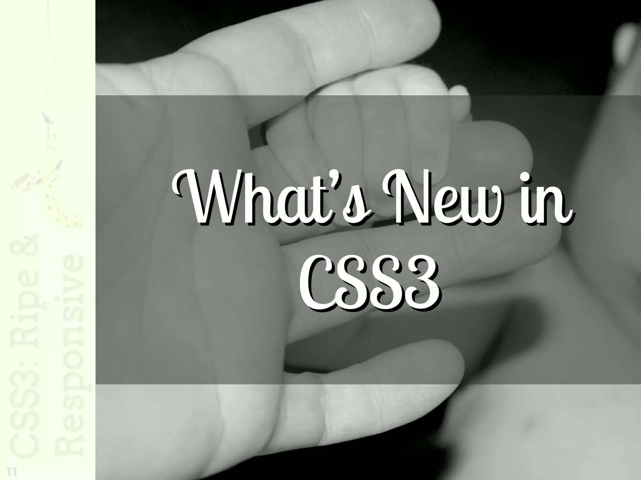 What’s New in
        CSS3

11
 