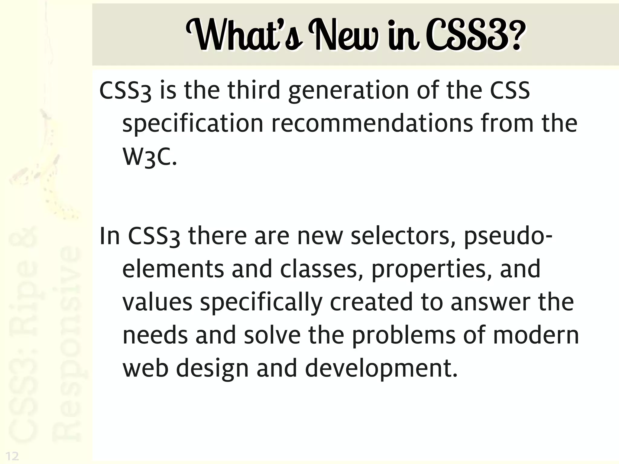 What’s New in CSS3?
     CSS3 is the third generation of the CSS
       specification recommendations from the
       W3C.

     In CSS3 there are new selectors, pseudo-
       elements and classes, properties, and
       values specifically created to answer the
       needs and solve the problems of modern
       web design and development.


12
 