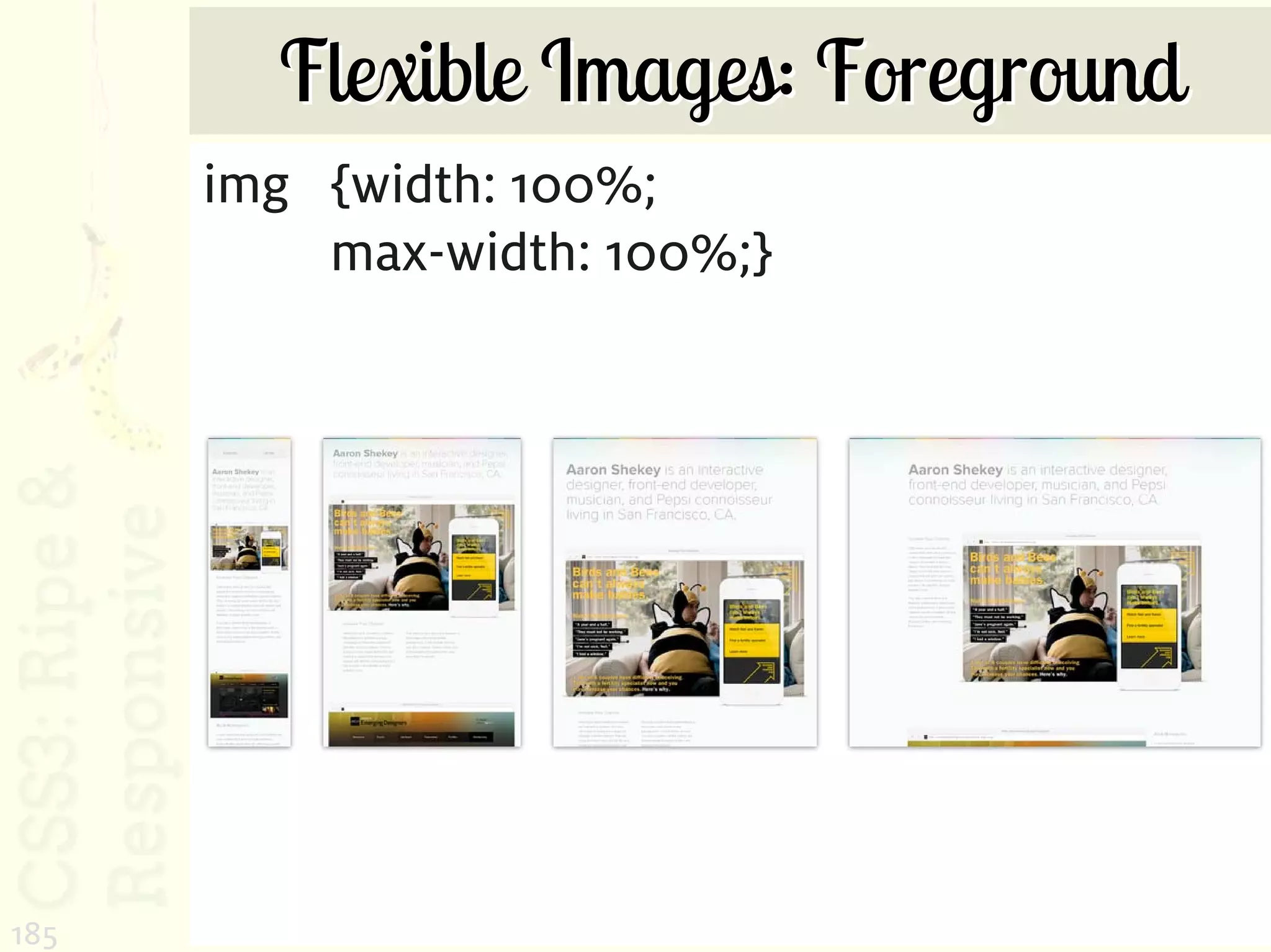 Flexible Images: Foreground
      img {width: 100%;
          max-width: 100%;}




185
 