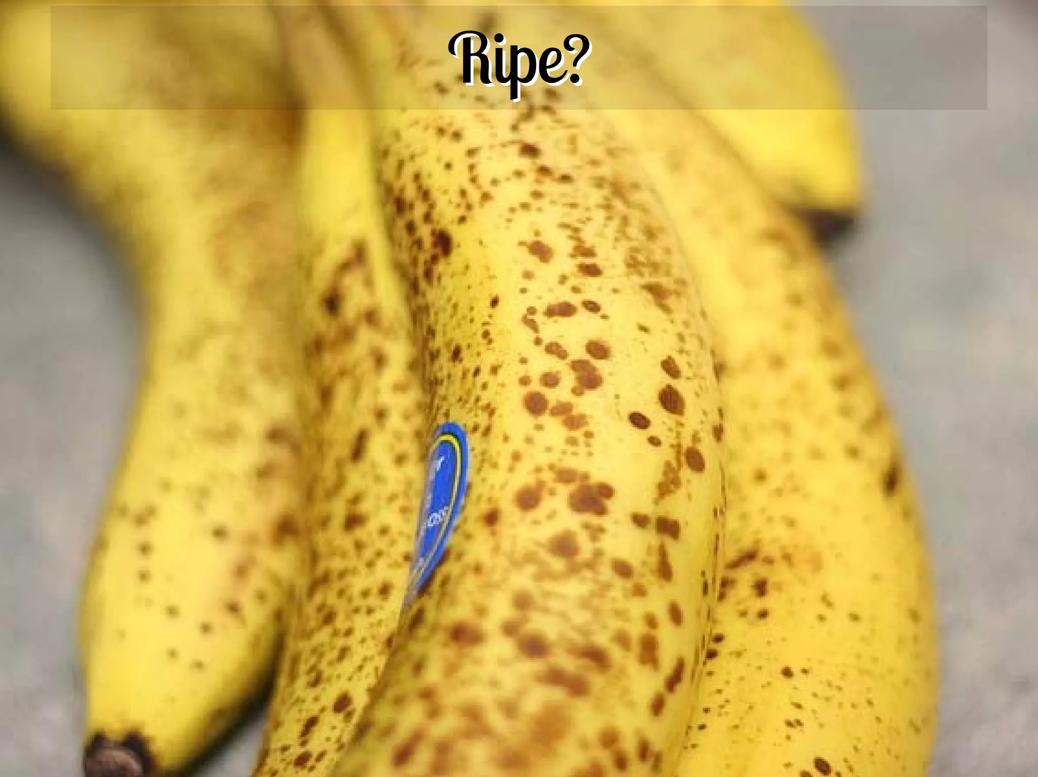 Ripe?




4
 